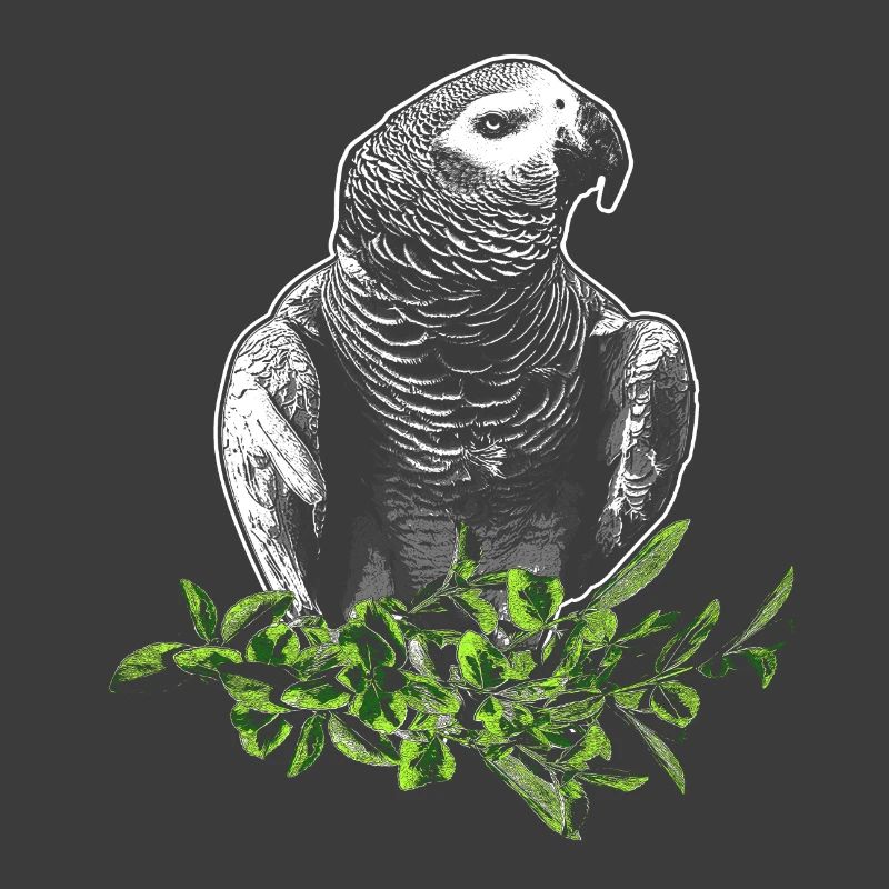 Graupapagei