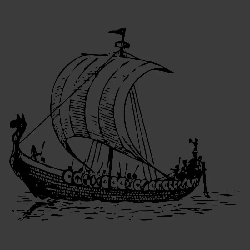 bateau viking