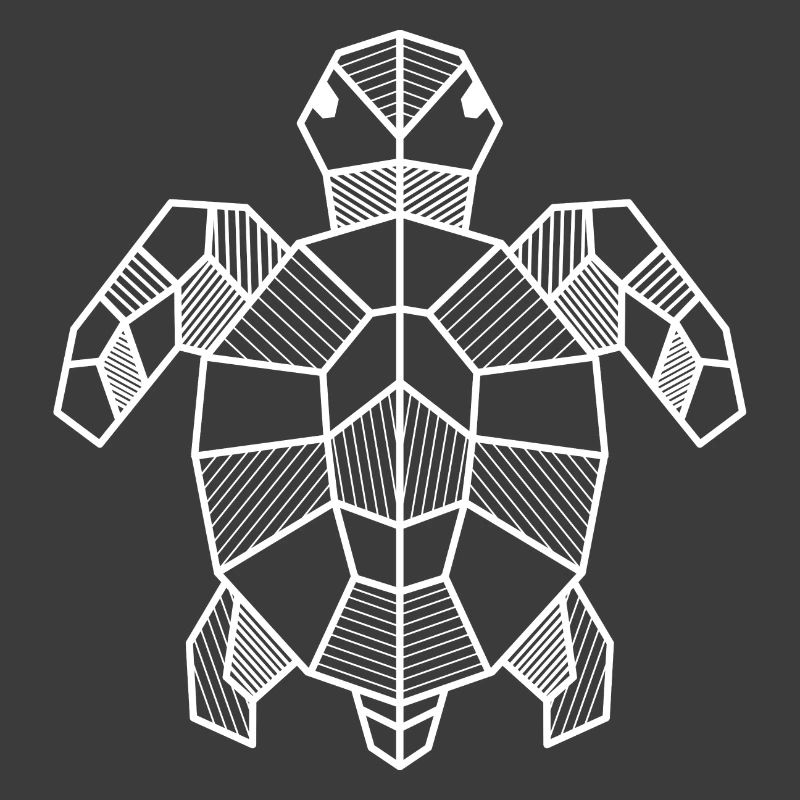 Turtle Geometric Gift Triangle Hipster