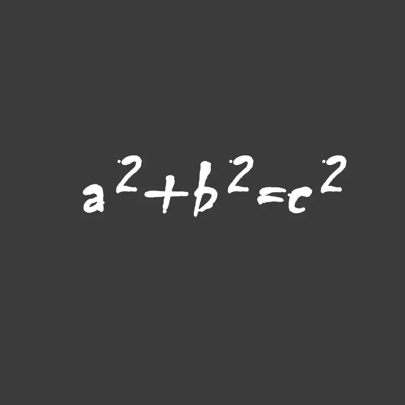 Funny math formula design teacher gift idea