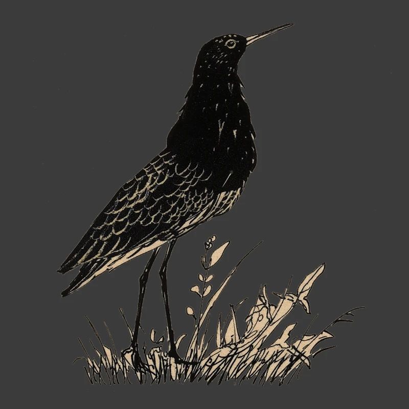 Vogel