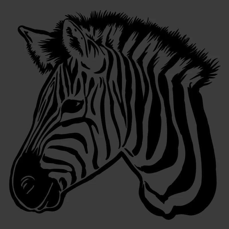 zèbre noir