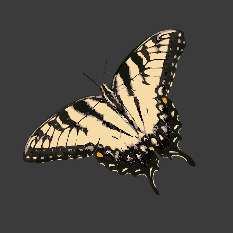 Zitronen-Falter Illustration