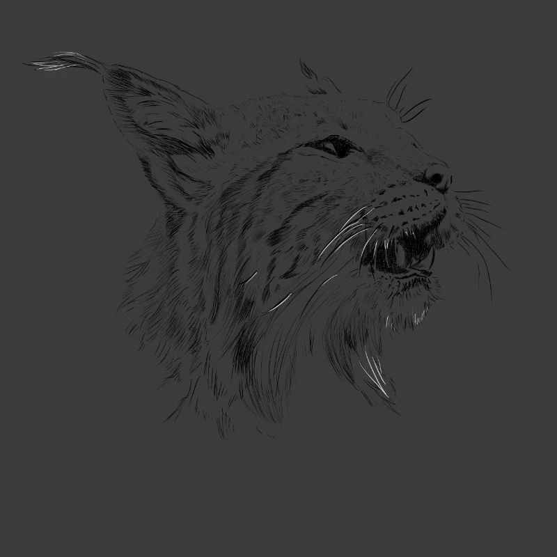 Luchs