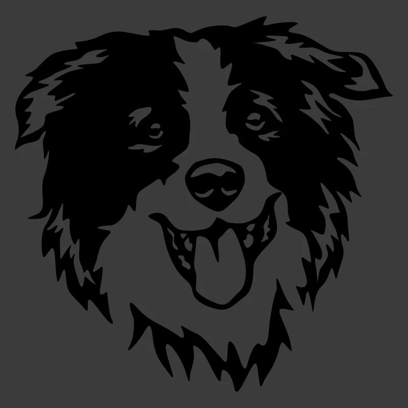 Border Collie Kopf