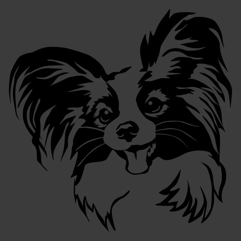 Papillon Kopf