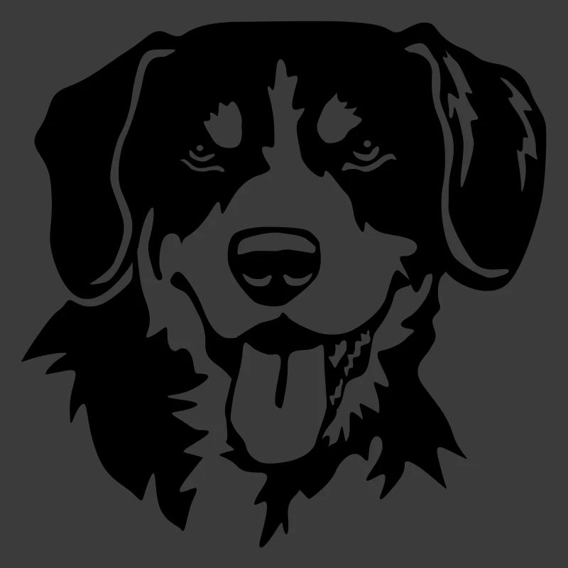 Entlebucher Sennenhund Kopf