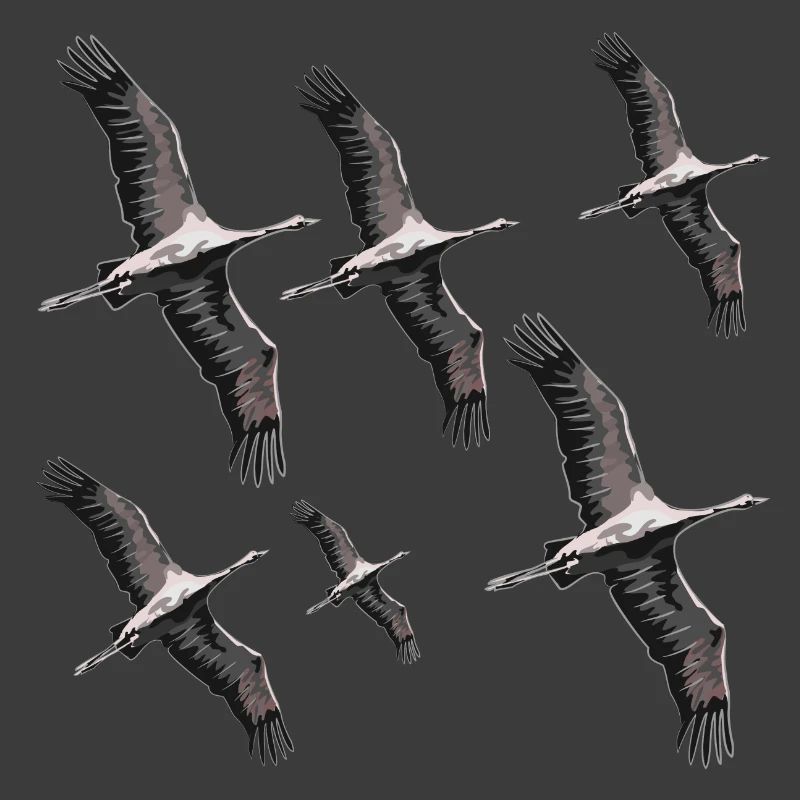 Bird migration cranes