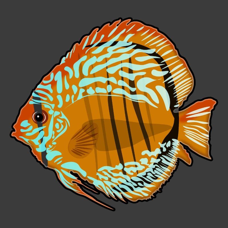 Diskusfisch Aquarium Zeichnung