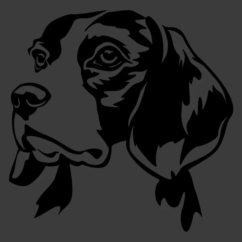 Beagle head