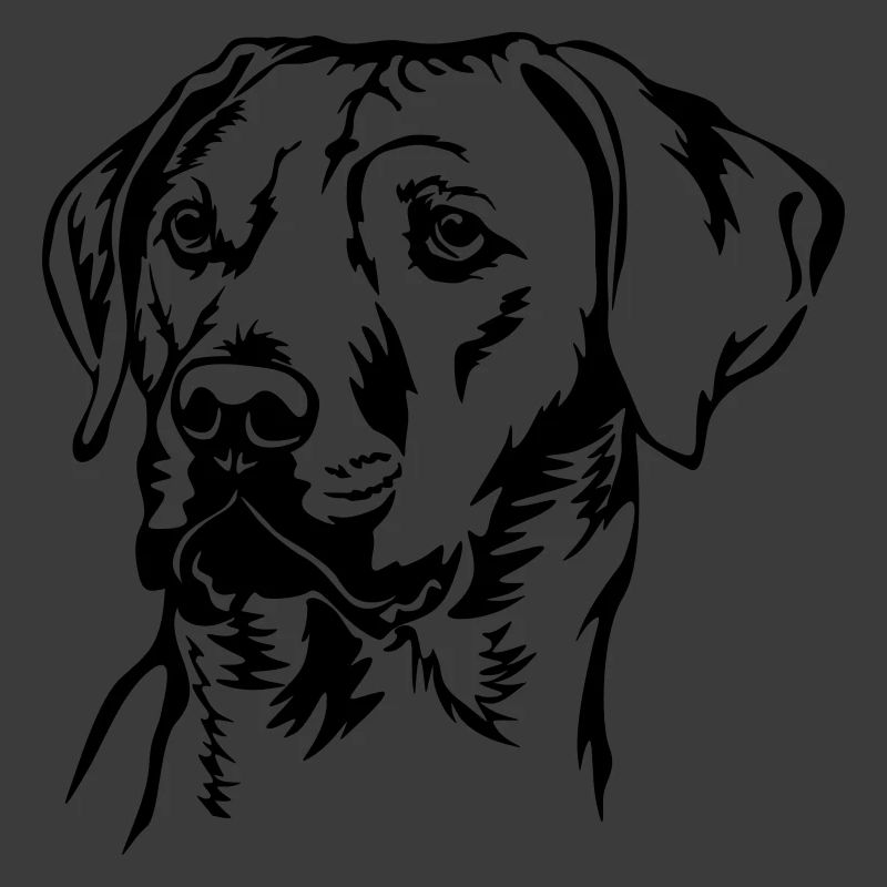 Rhodesian Ridgeback head
