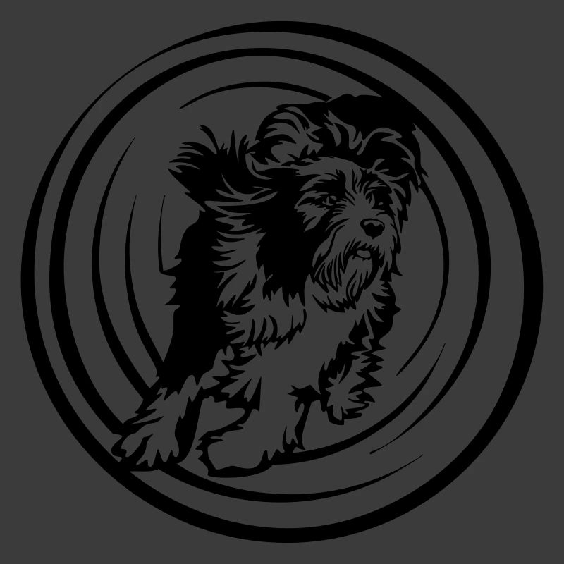 Bearded Collie
