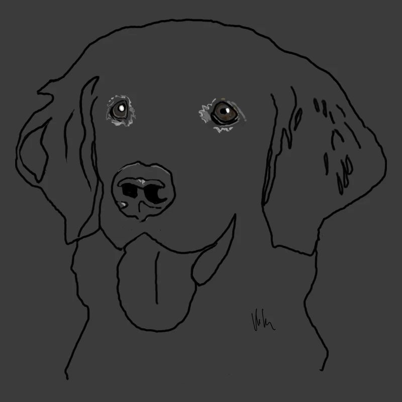 Golden retriever