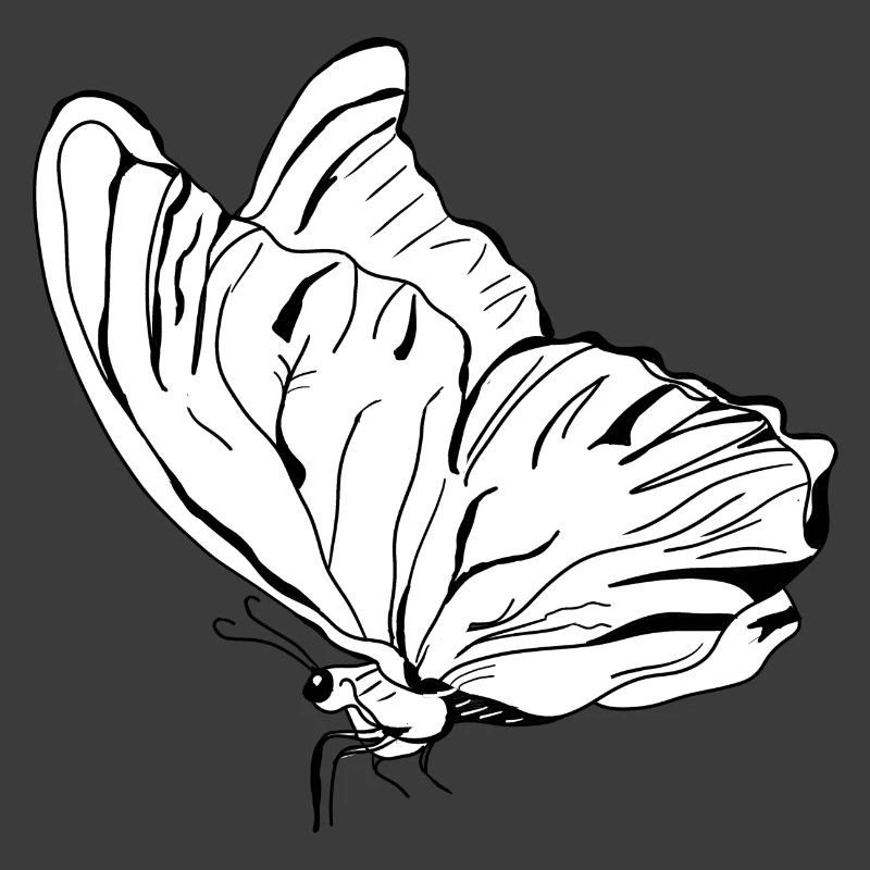 papillon vecter