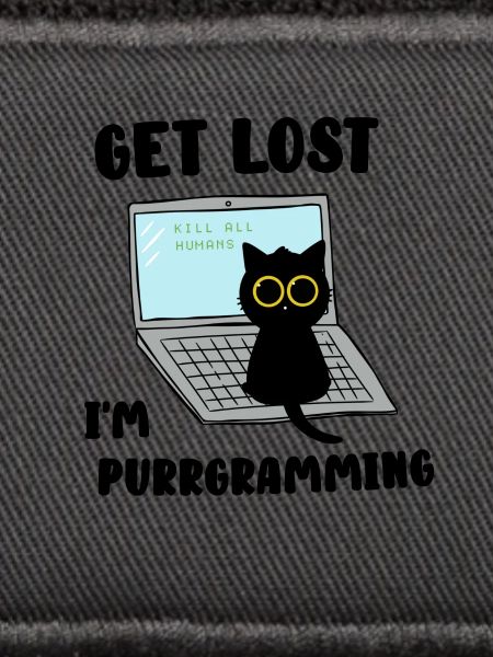 Get Lost I'm purrgramming
