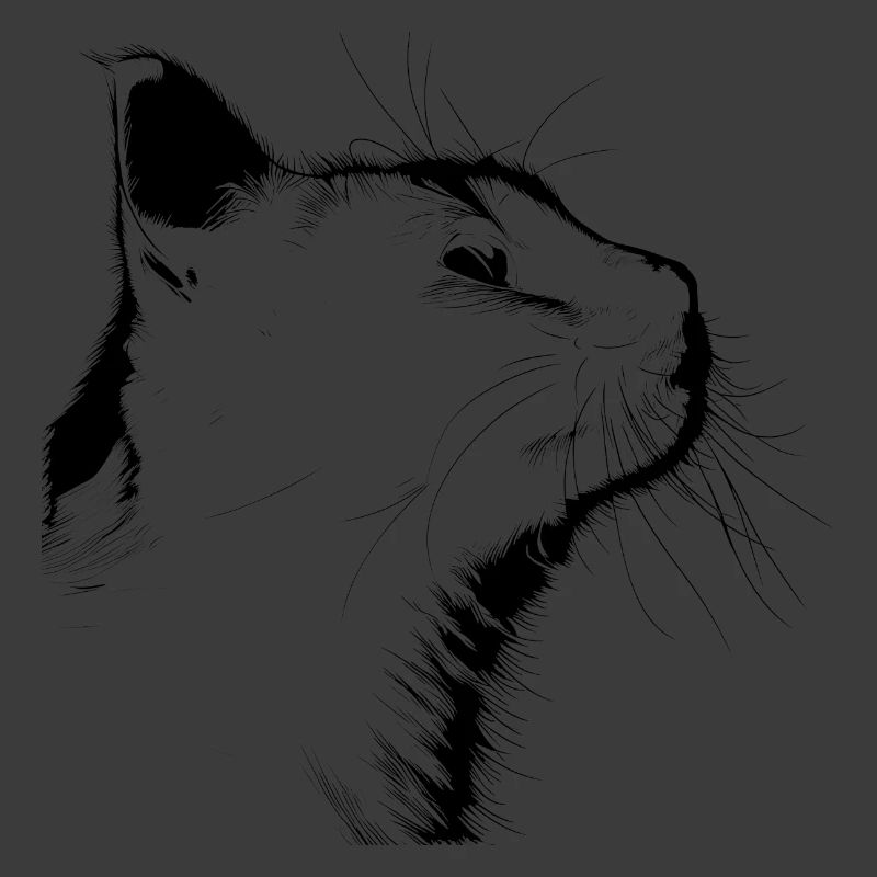 Katze Silhouette