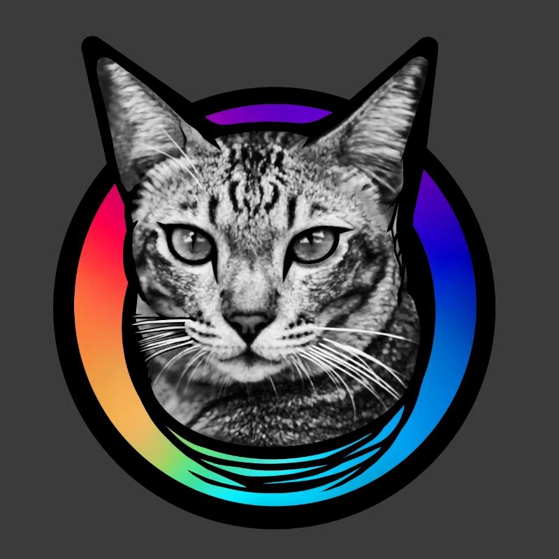 Rainbow Cat