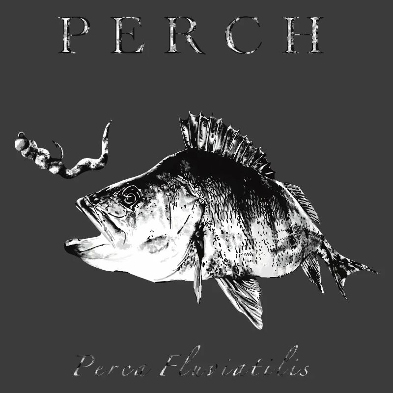 Perch Angler - Artificial lures for predatory fish
