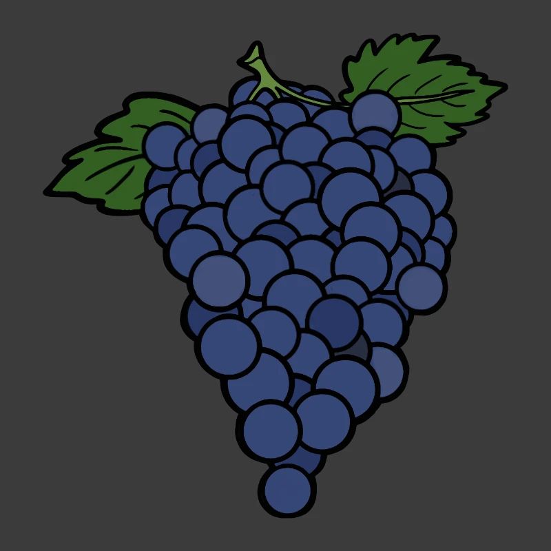 Delicious Fruit Grape