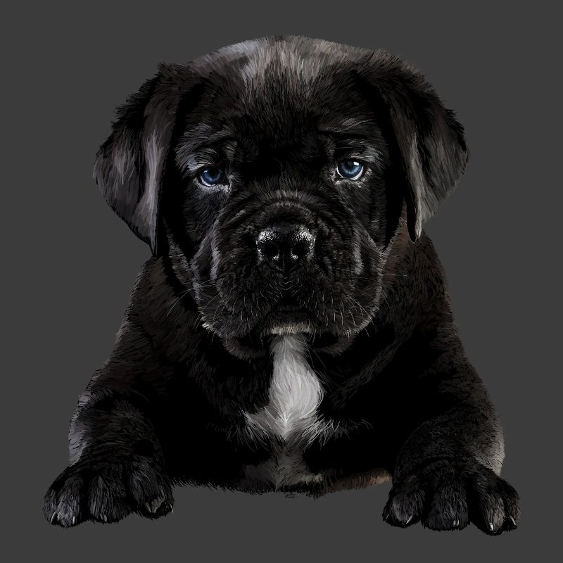 Chiot
