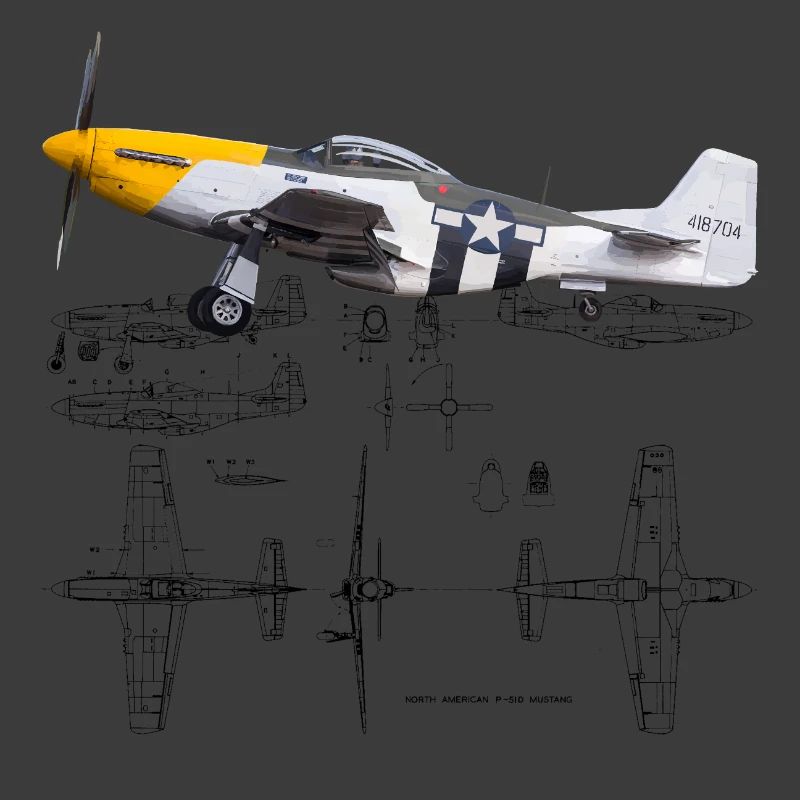 P-51
