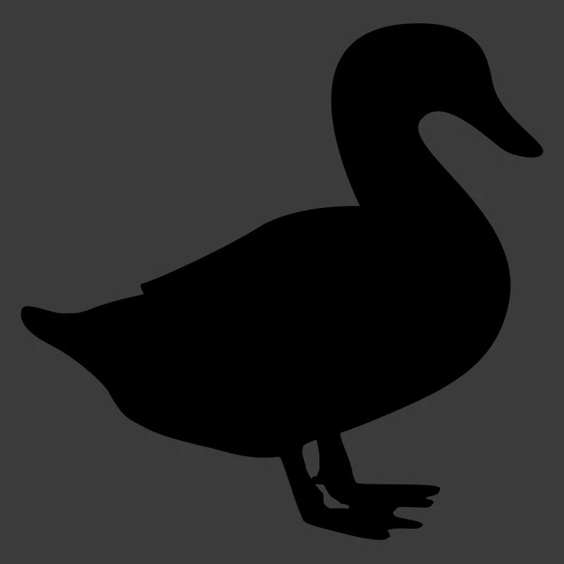 ente / duck / quack