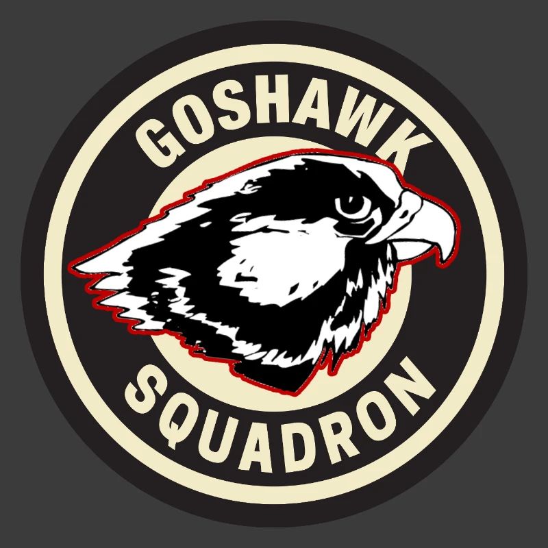 Conception de l’insigne de l’escadron Goshawk