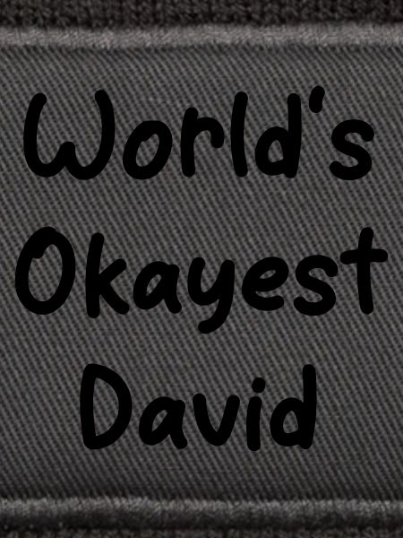 World's okayest David