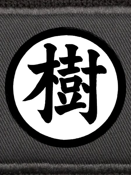 Kanji Ju 02
