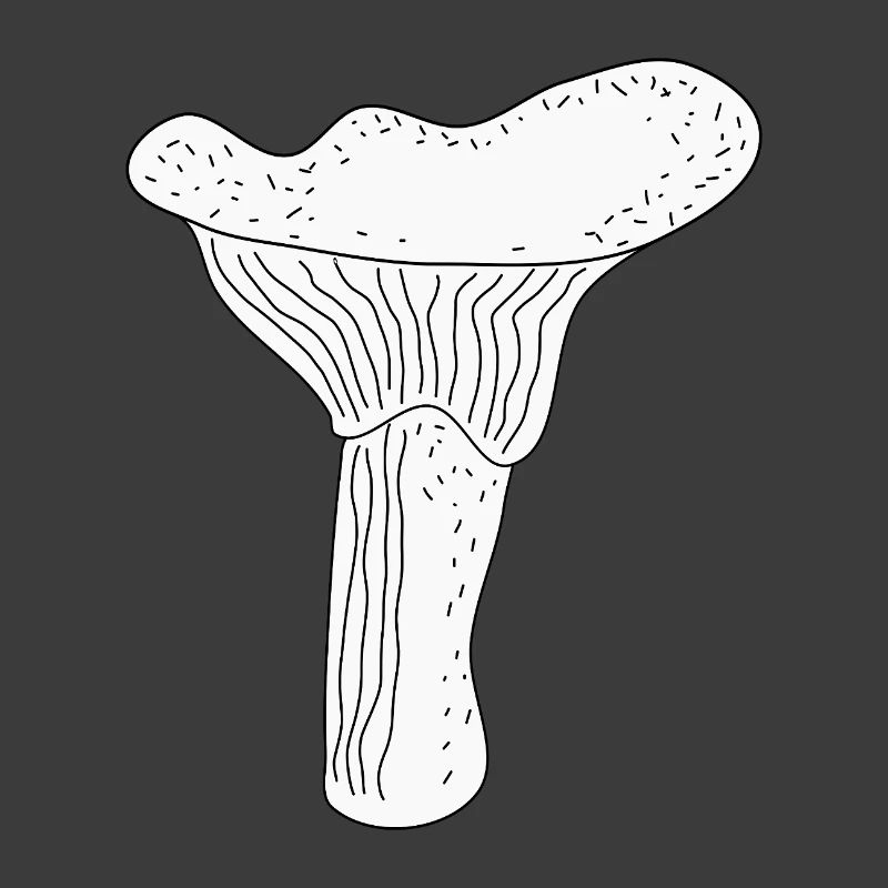Pfifferlinge Pilze