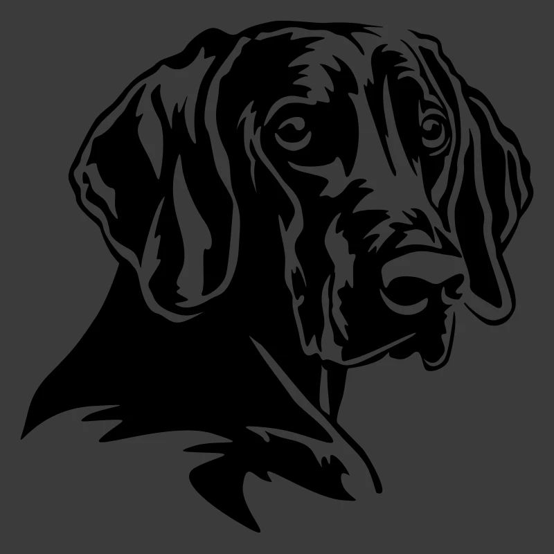 Tête de Weimaraner