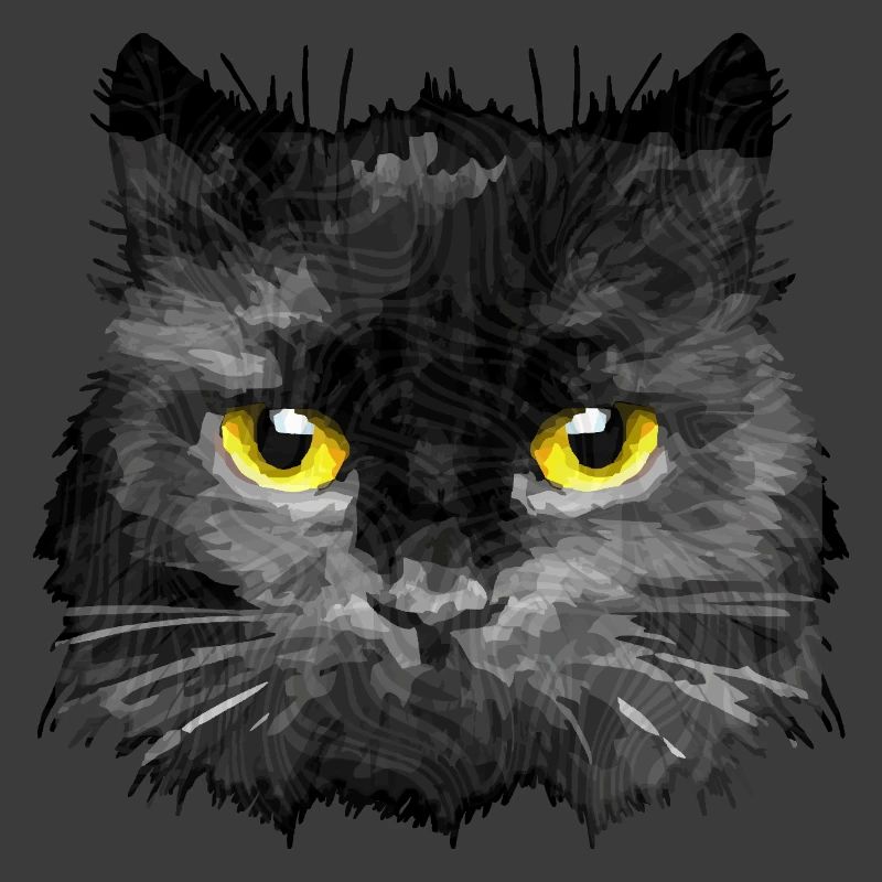Katze