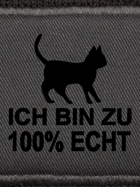 Katze