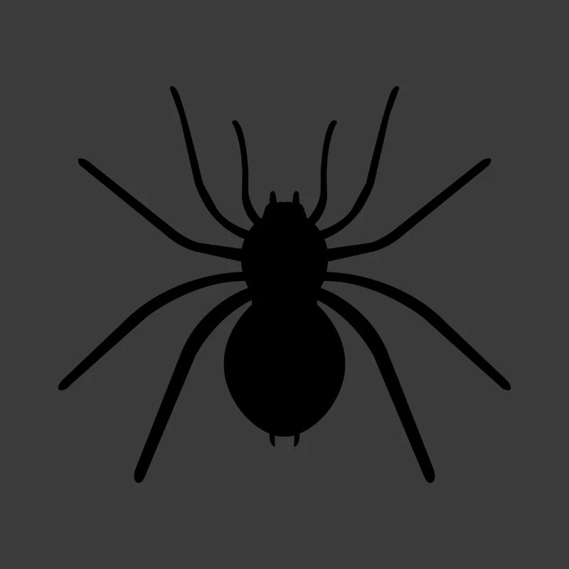 Spinne