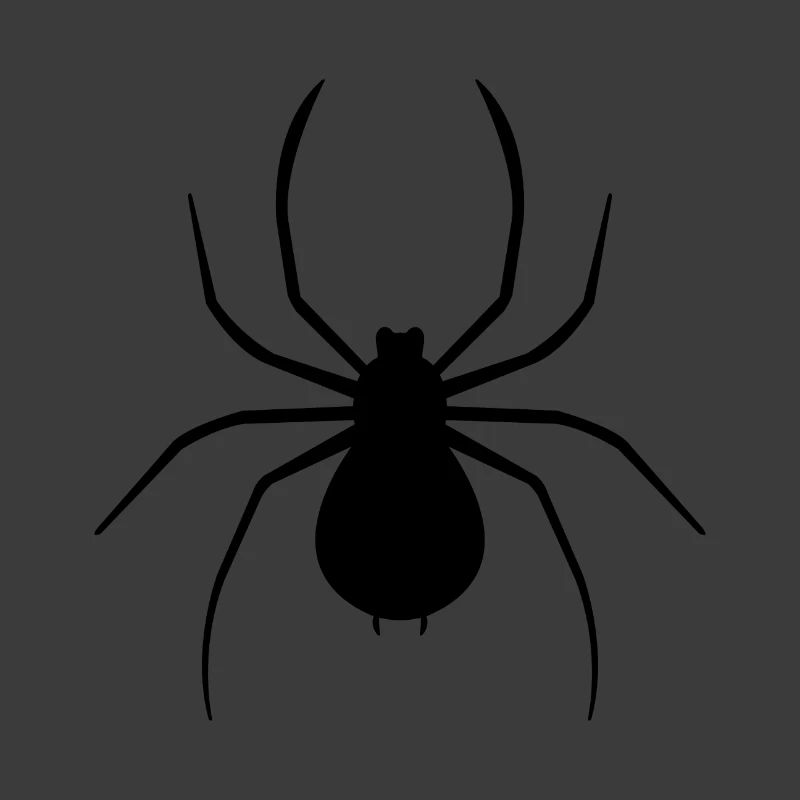 Spinne