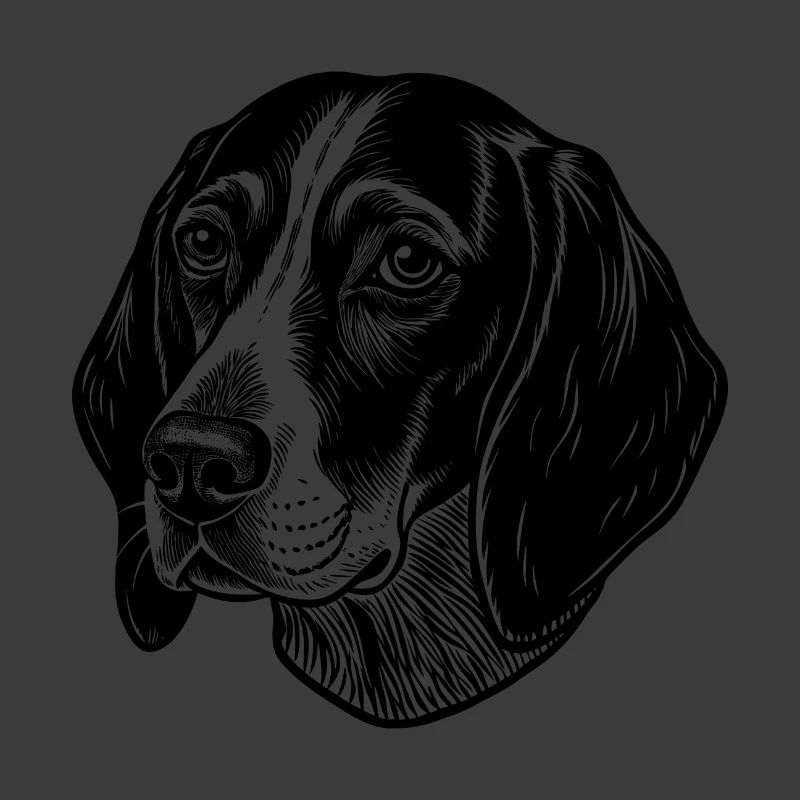 Amerikanischer englischer Coonhound-Kopf