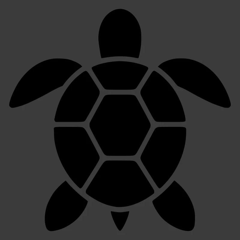 Schildkröte