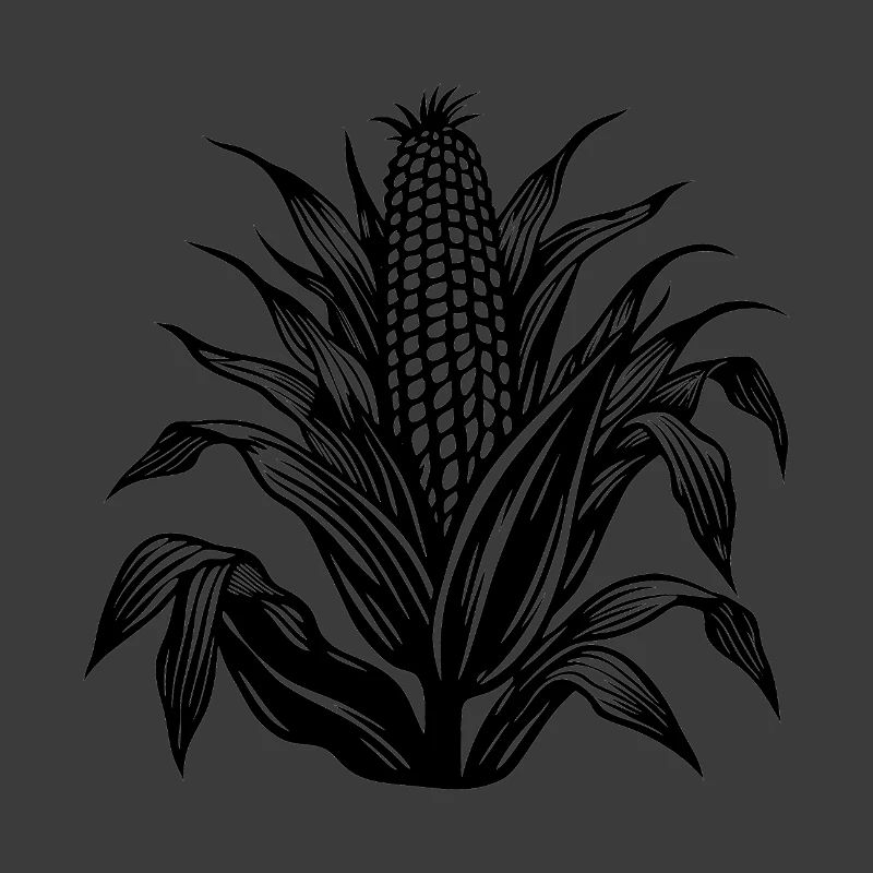 Corn stalk