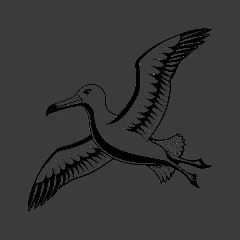 Albatros de Nouvelle-Zélande