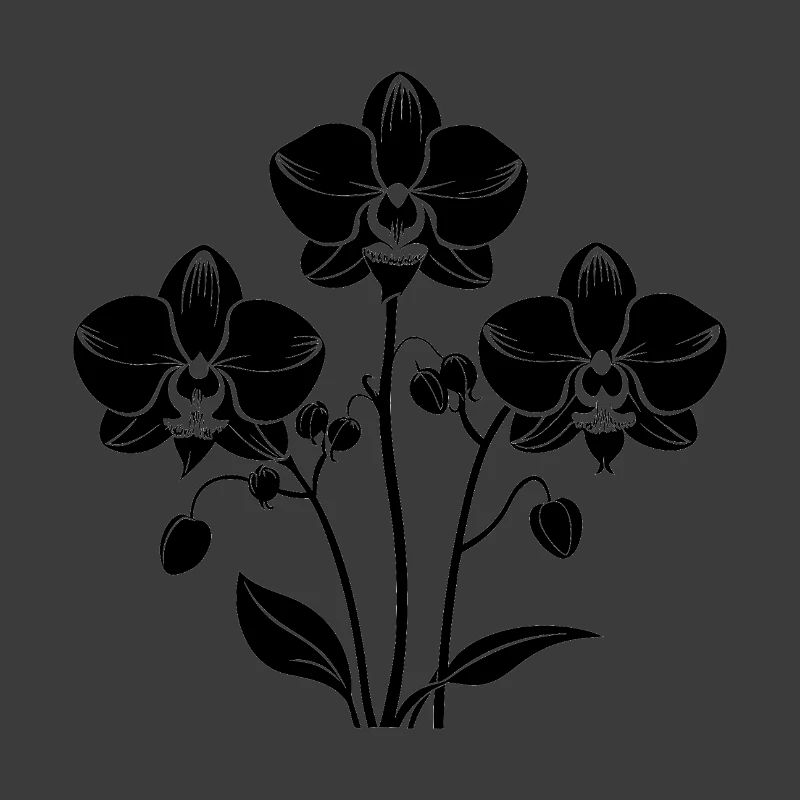 Orchideen
