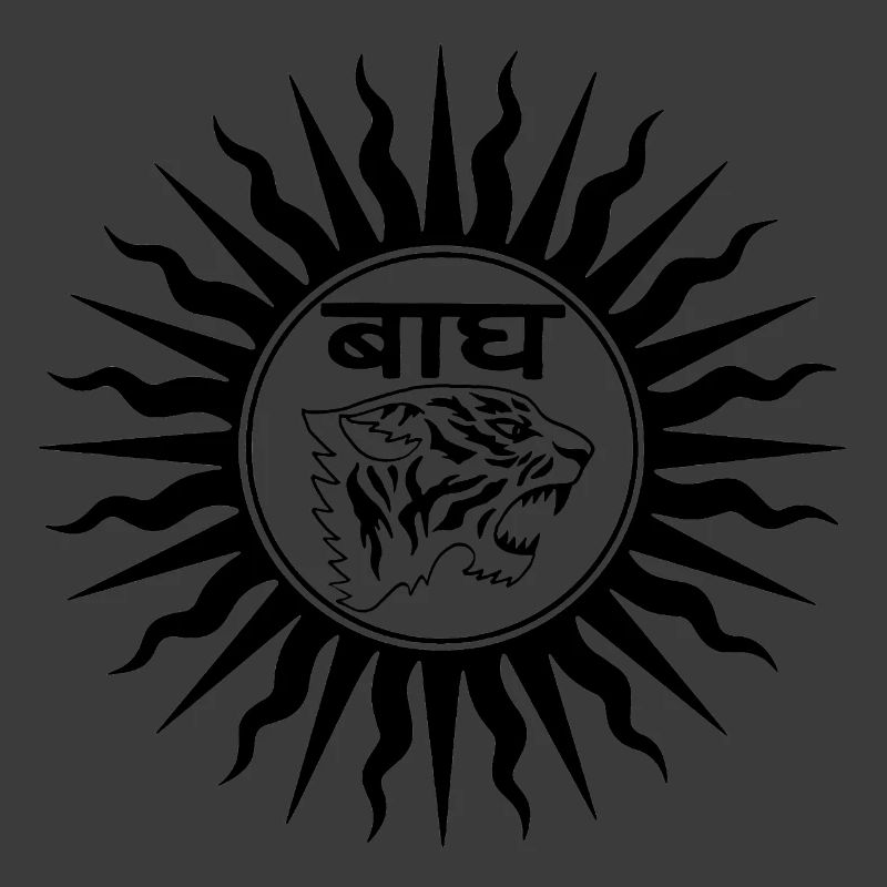 Tigre d'Inde (noir)