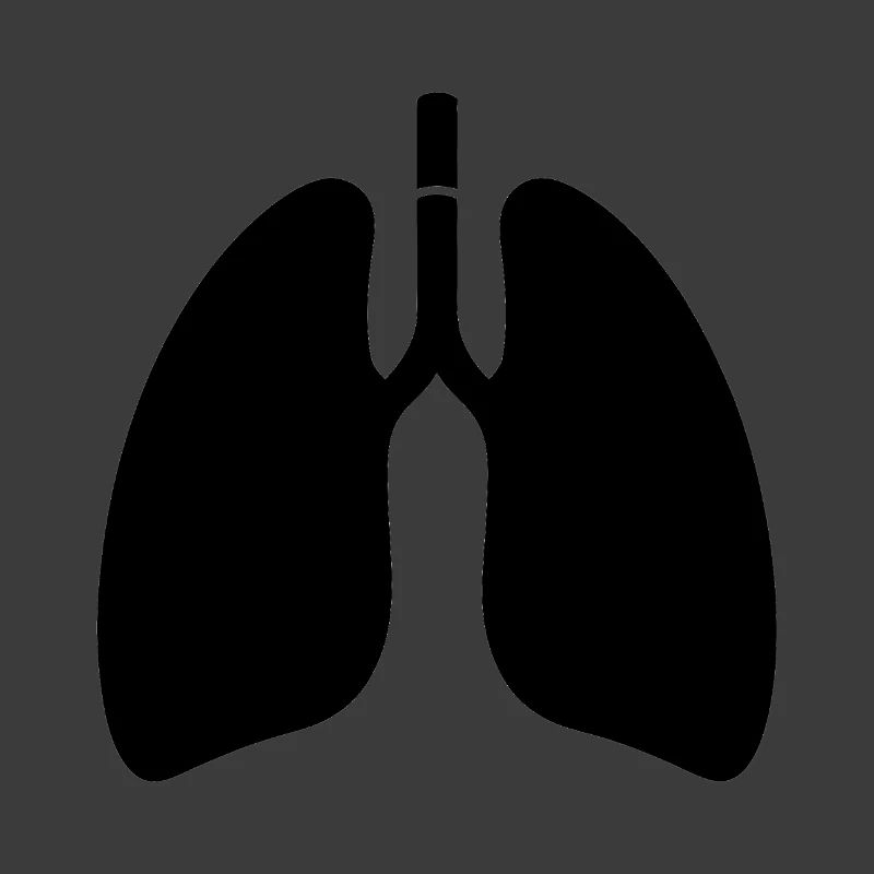 Lungs