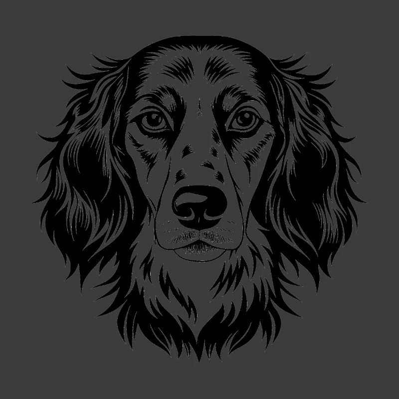 English Setter