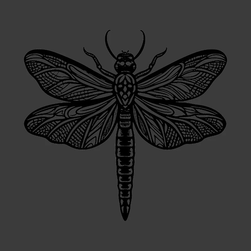 Libellule