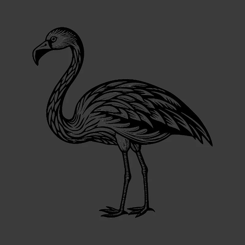 Flamant rose