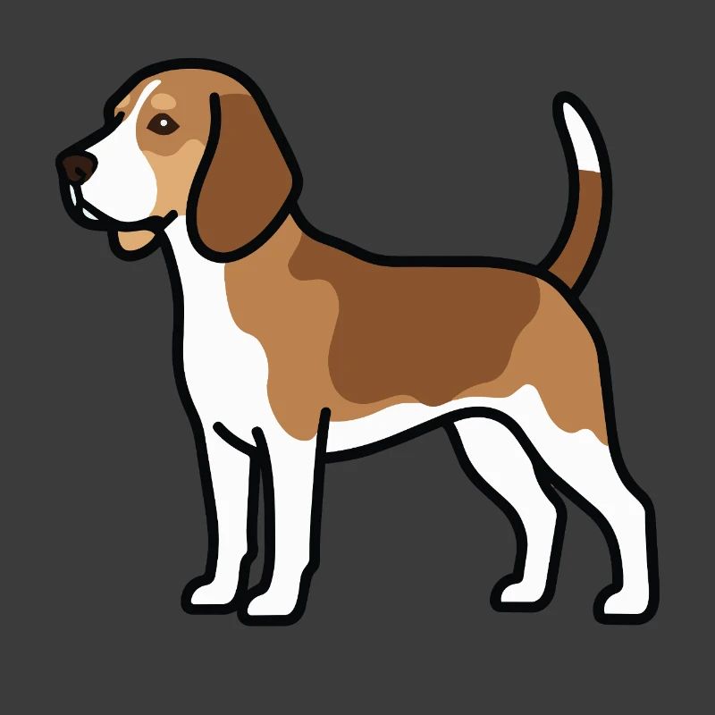 Beagle Dog