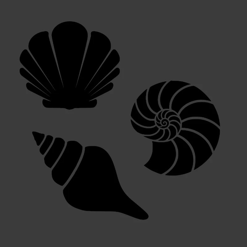 Seashells