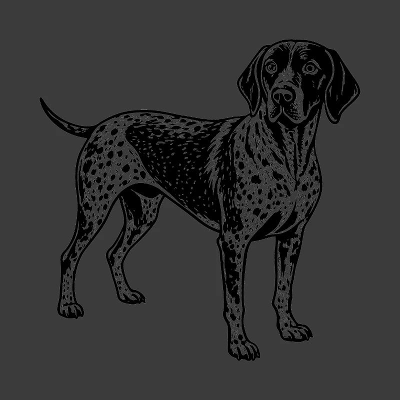 Deutscher Kurzhaar-Pointer