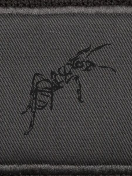 Black Ant – Insektenillustration