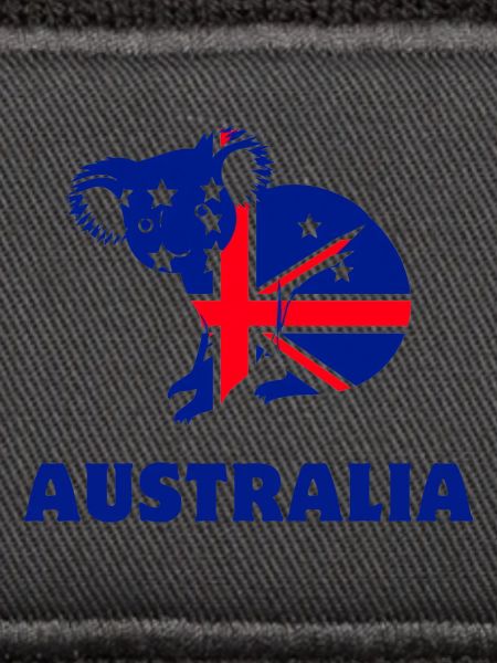 Australien-Koala